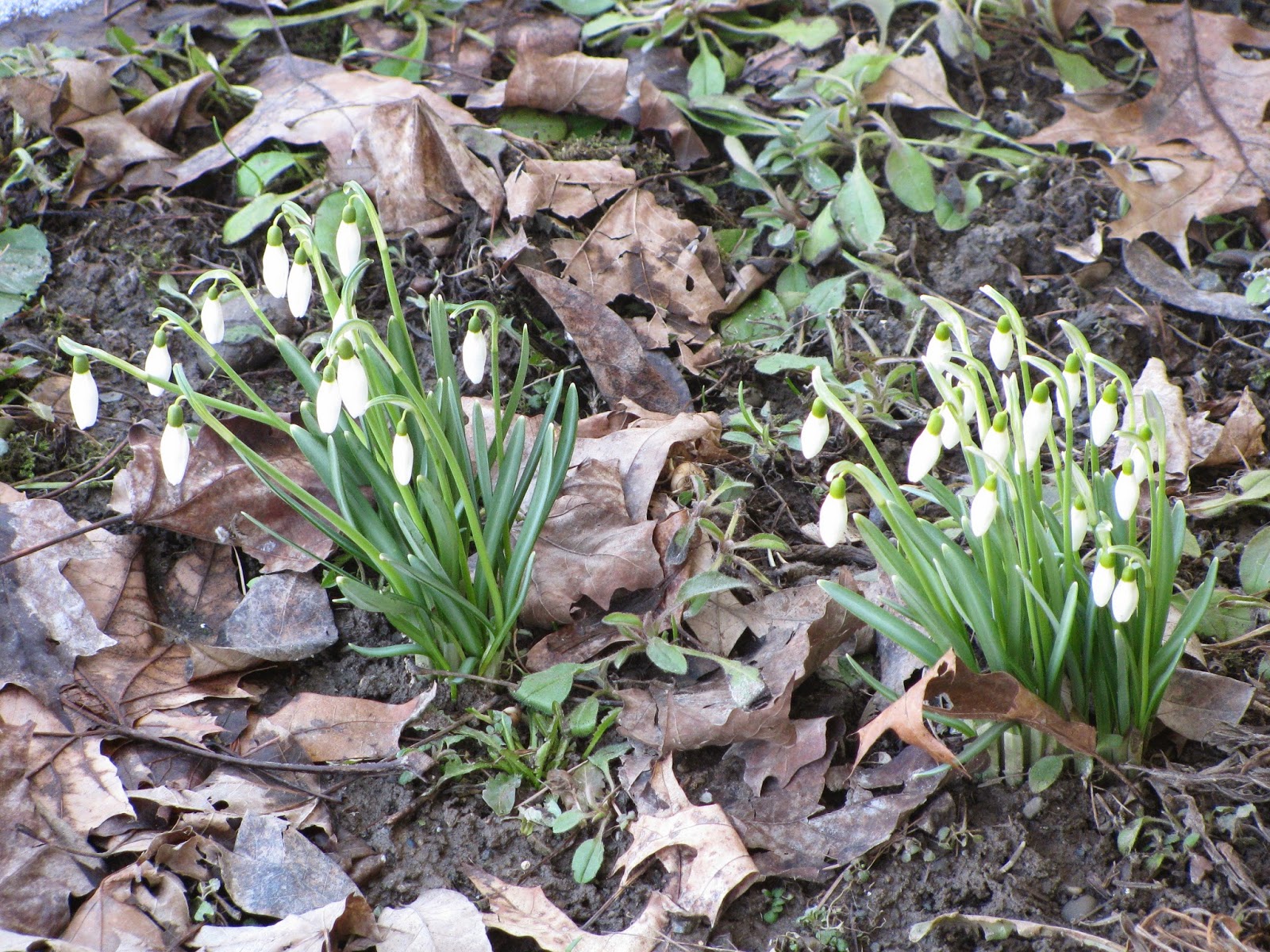 Untrodden Paths March 2014