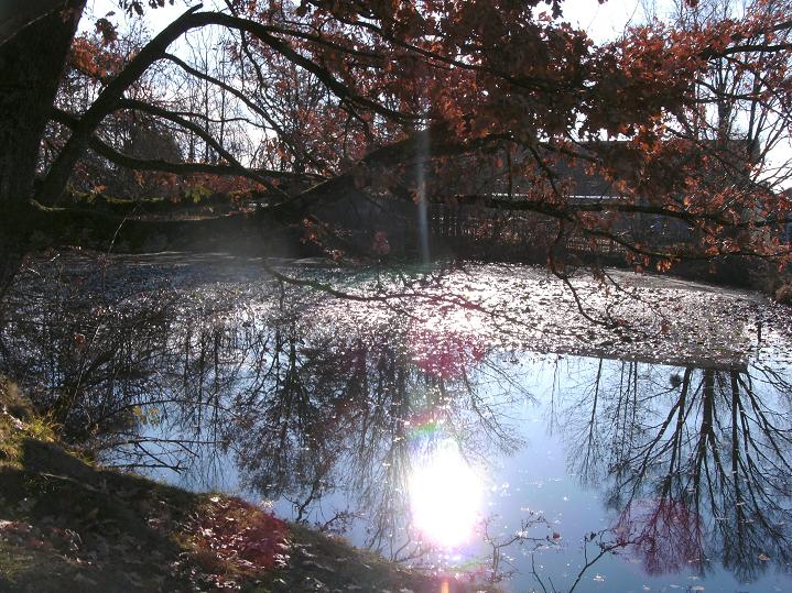 Informationen Uber Wohnungsbetrug Informations About Rental Scam