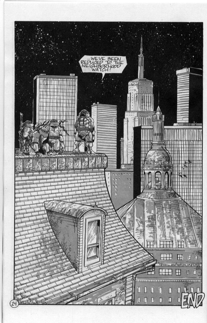 Teenage Mutant Ninja Turtles (1984) Issue #51 #51 - English 27