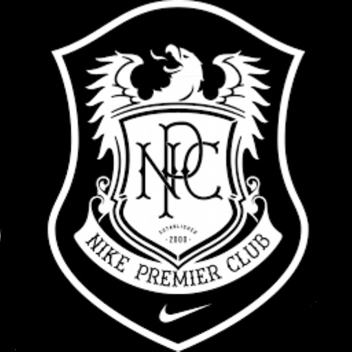 logo nike dls