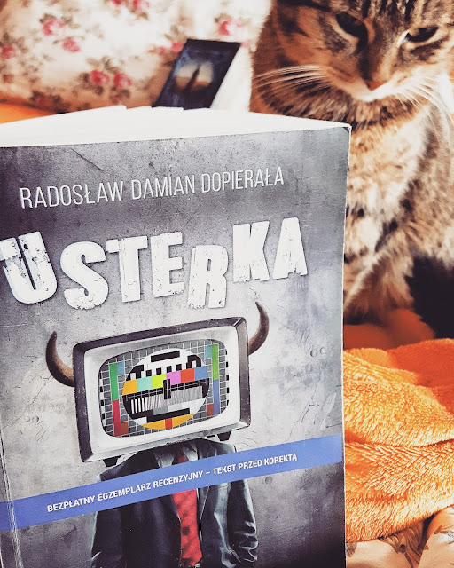 Radosław Damian Dopierała - Usterka