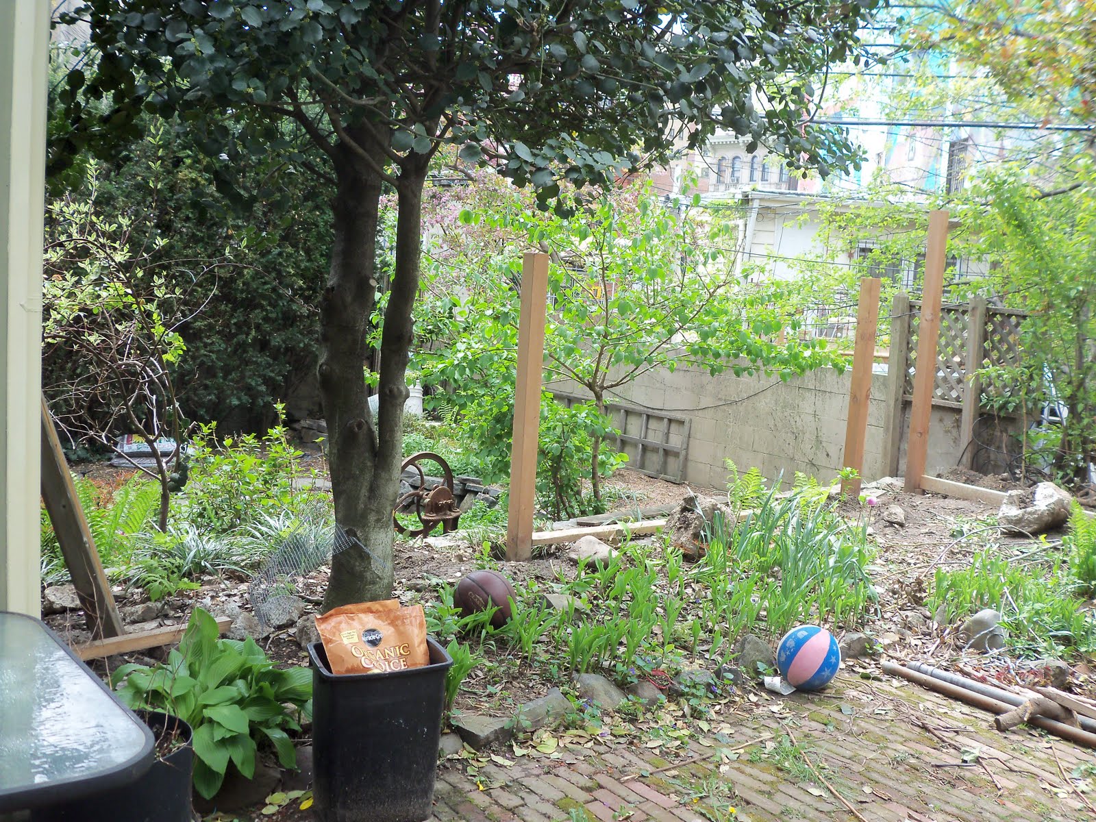 Shade Garden Ideas Zone 7 Landscape Design Ideas