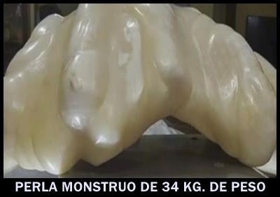 perla-monstruo