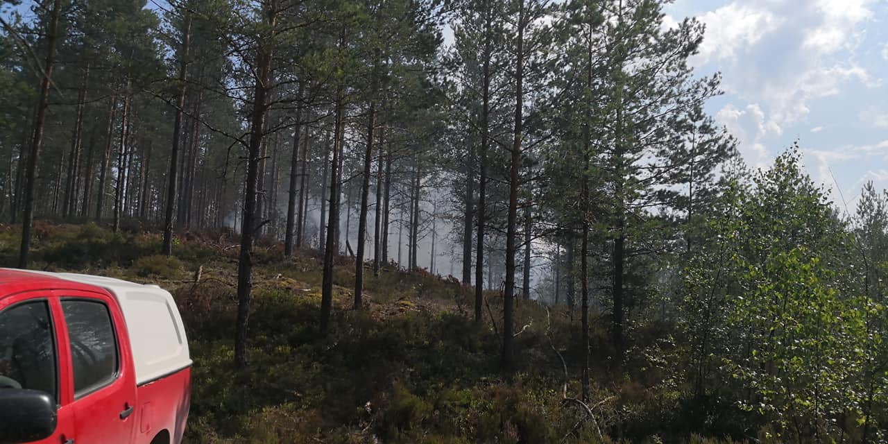 Likvidēti seši meža ugunsgrēki Kurzemē