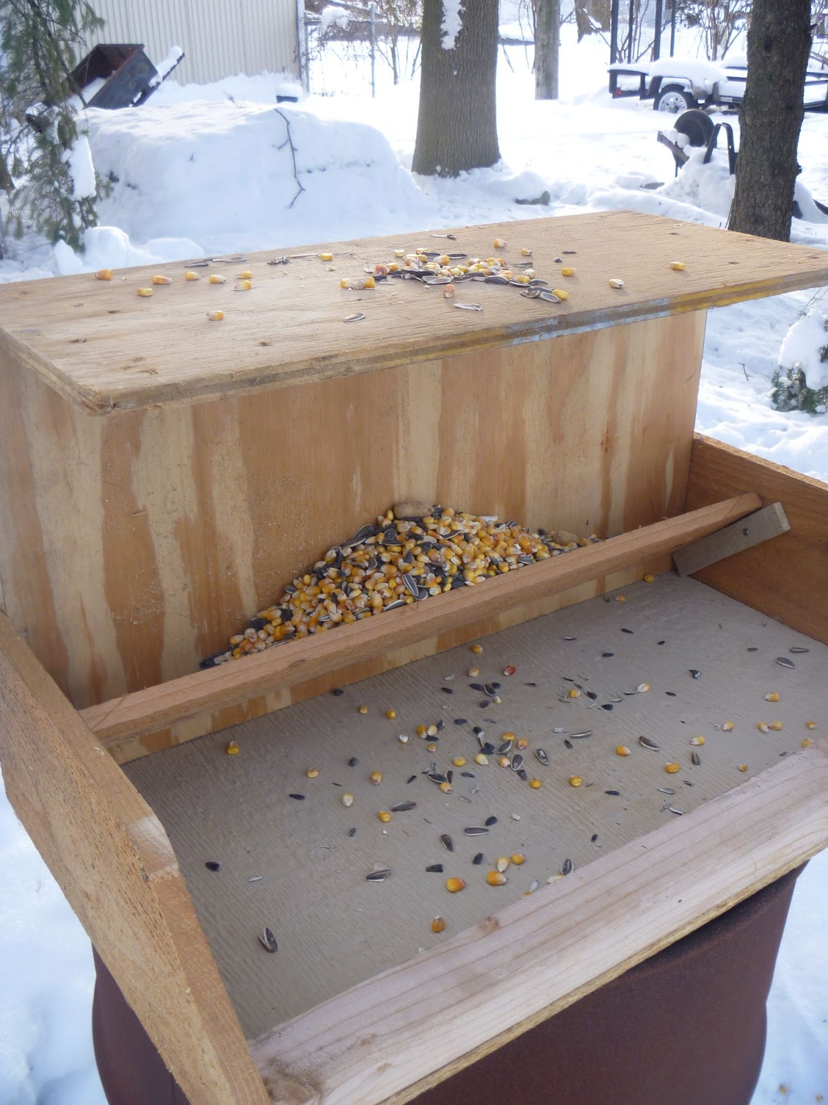 bird feeders to build bird feeders to build