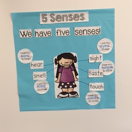 Loving Life In Kindergarten: 5 Senses