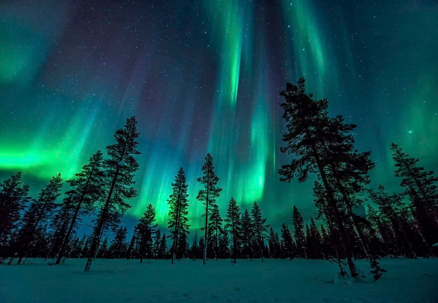 34 Reasons Why Lapland Is The Most Mythical Place To Celebrate Christmas 34 Reasons Why Lapland Is The Most Mythical Place To Celebrate Christmas