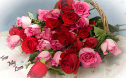 nice roses pink booke duul
