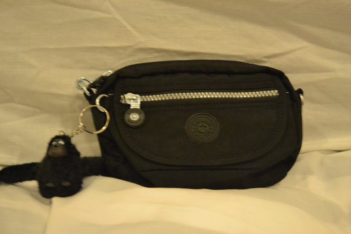 Items to choose from: Kipling Pouches/Sling Bag