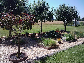 The Box Garden