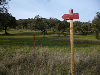 Desvío ramal a Guadalupe