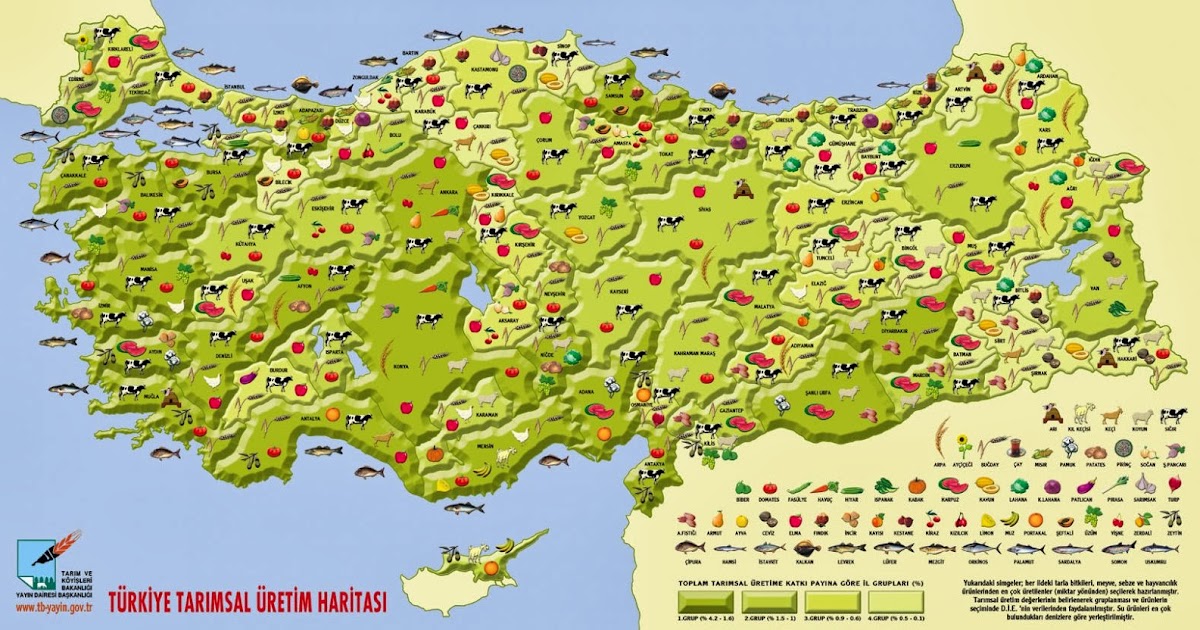 Türkiye Fiziki Coğrafya: Türkiye Tarımsal Üretim Haritası