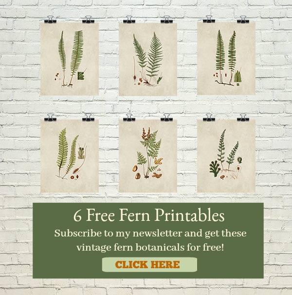 6 fern prints