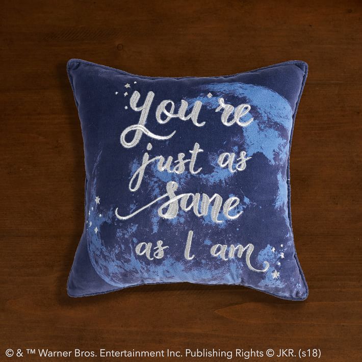 Pottery Barn Harry Potter Pillow