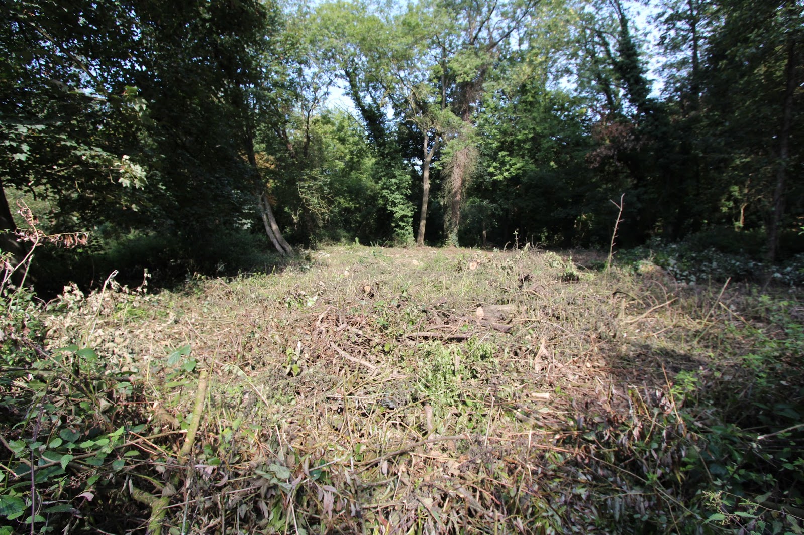 Unique Riverside Development Land For Sale