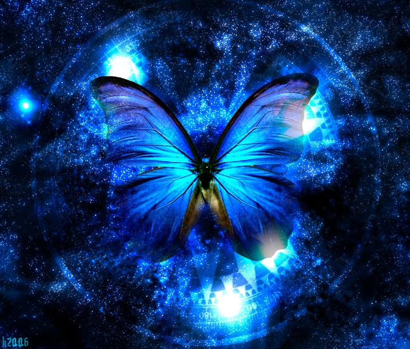 Image result for blue butterfly