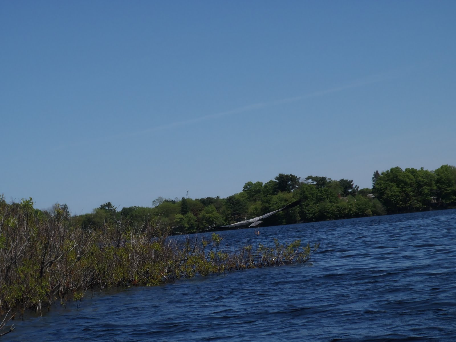 MichalsBrown Adventures MidMay on Lake Nippenicket