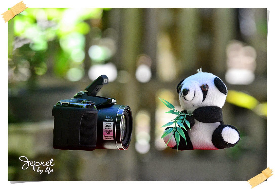 floating panda foto levitasi