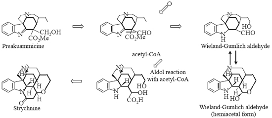 Wieland-Gumlich aldehyde (hemiacetal form)