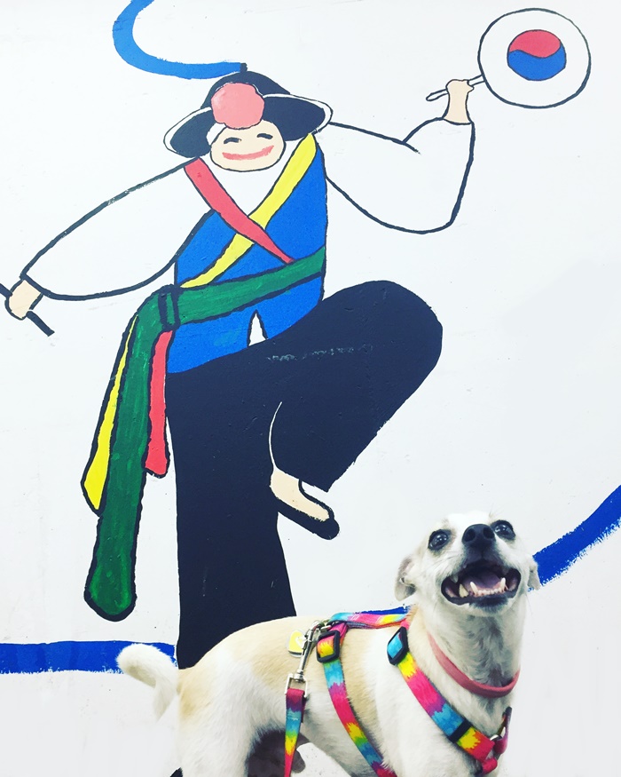 How to Take your Dog to Korea from America