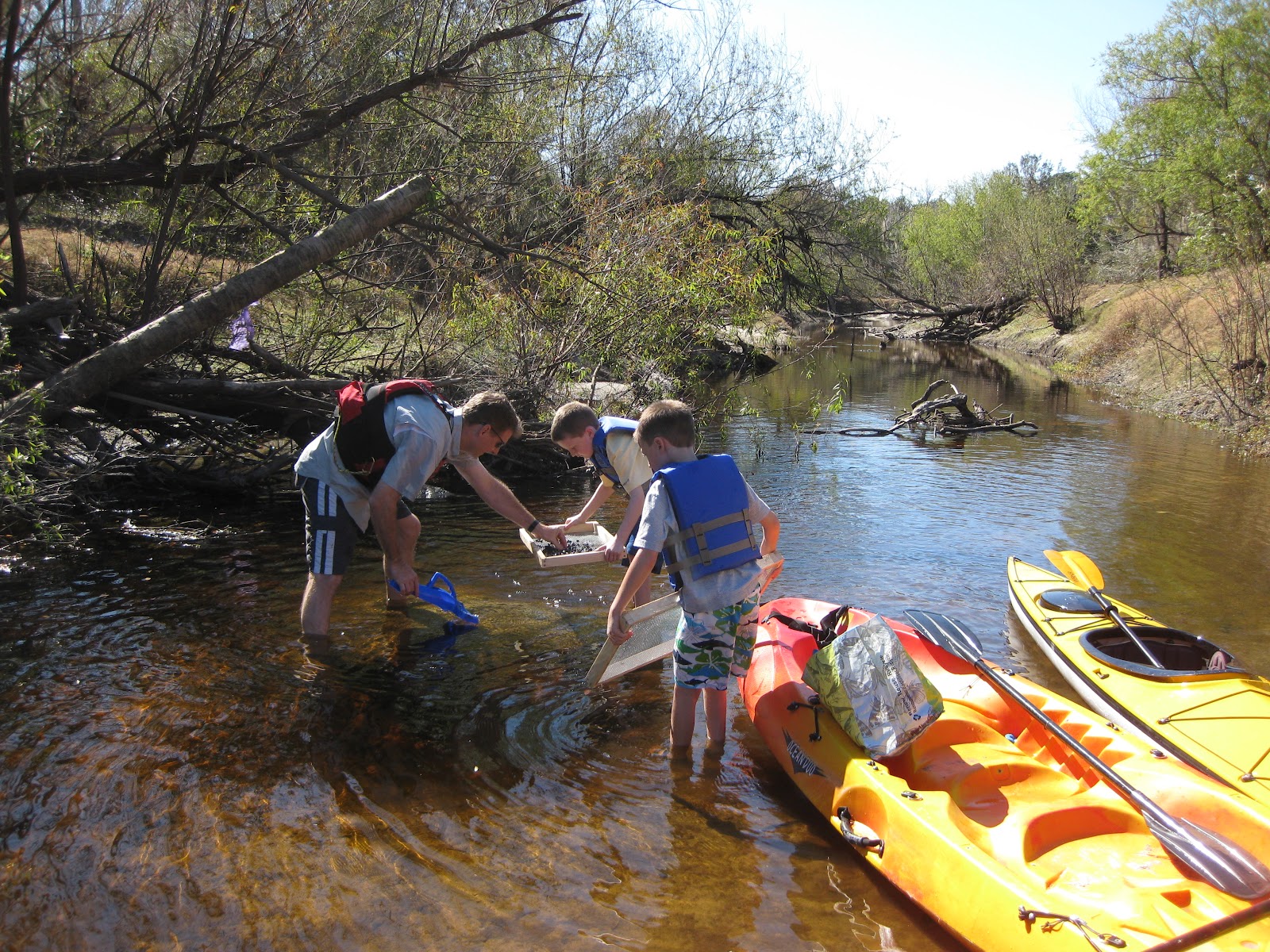 Family Outdoor Adventures: Peace River Fossil Hunting