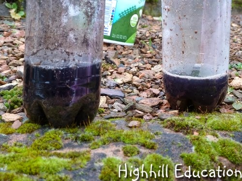 Highhill Homeschool: Soil Acidity Test