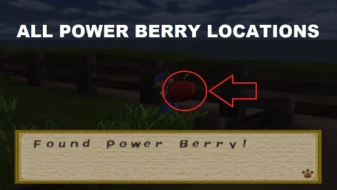 How to Find Power Berry in HM: STH