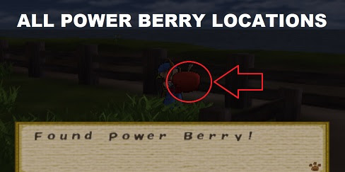 How to Get All Power Berries - Harvest Moon: Save The Homeland Guide