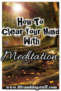 How to Clear Your Mind With Meditation How to Clear Your Mind With Meditation