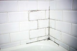Como evitar y remover el Moho del baño?