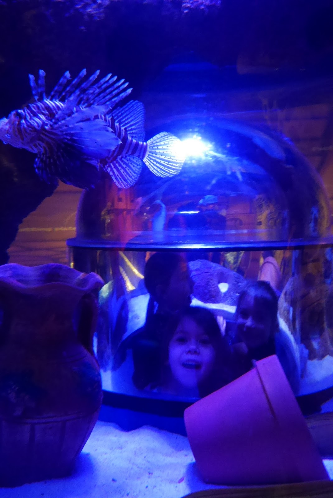 Exploring Octopus Hideout This day I love.......