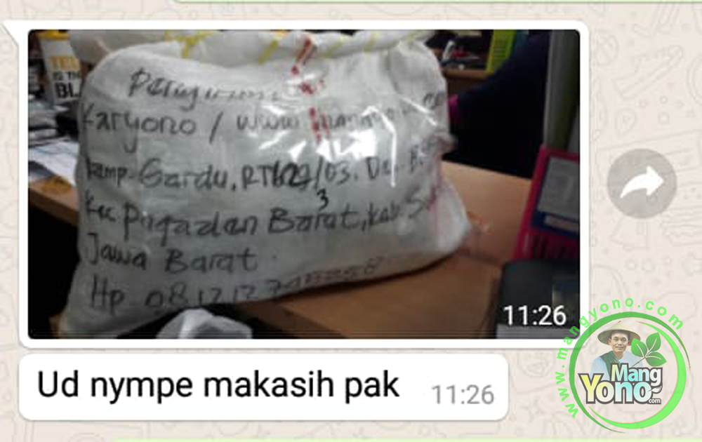 Hasnah Darmawan Bandung, Jabar Pembeli Benih Padi TRISAKTI ...