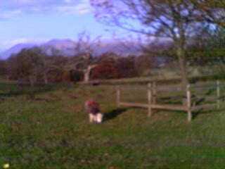 IMAG0043.JPG