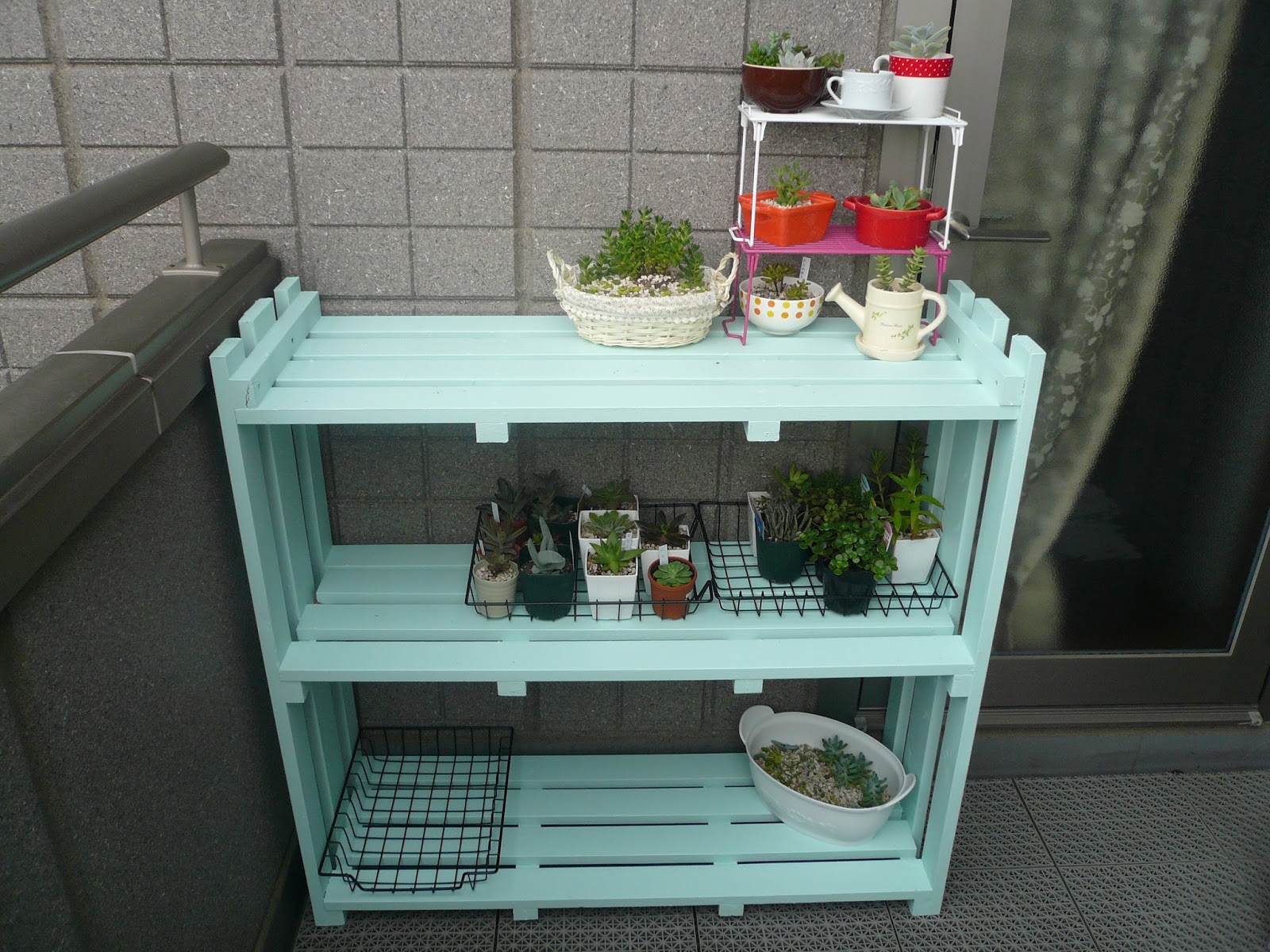 多肉日記 多肉棚完成