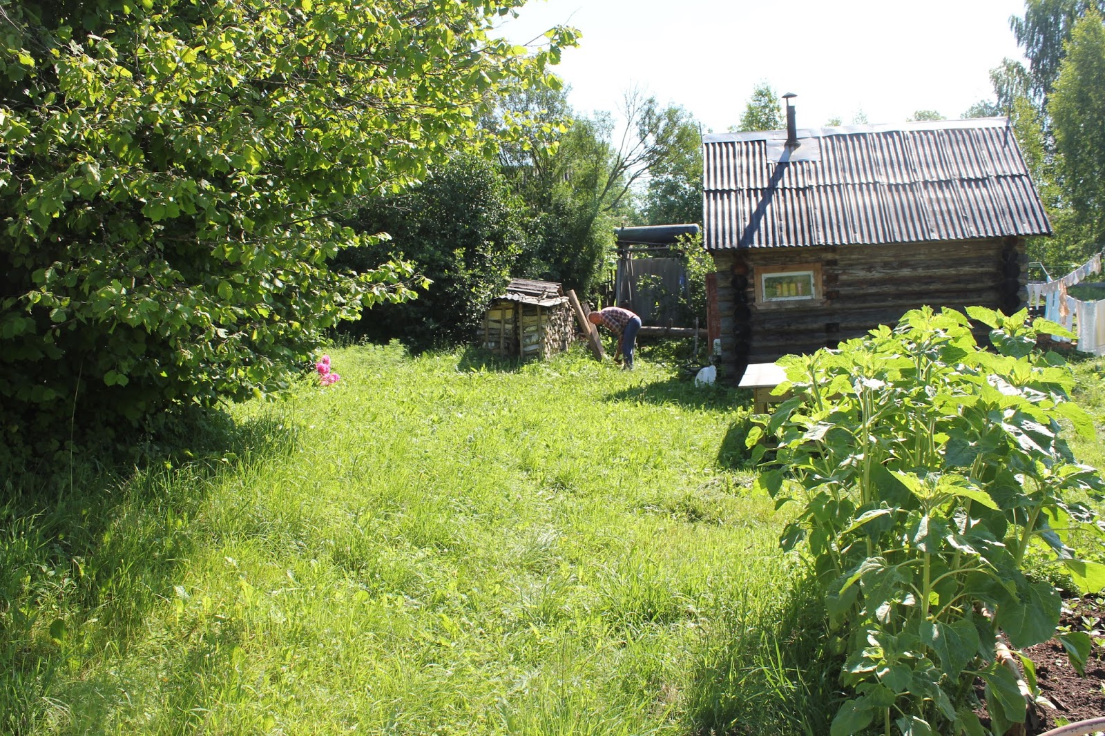 Сад горожанки