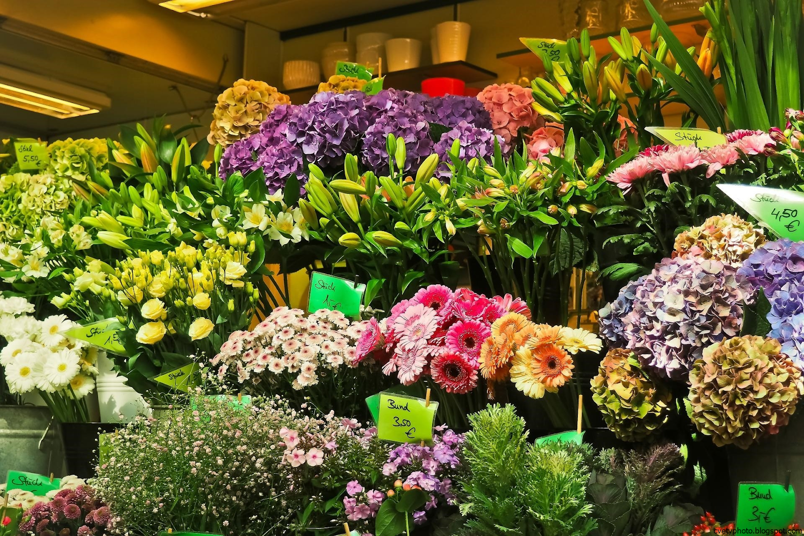 Валберисе купить интернет магазин цветы. Цветочный ассортимент. Ассортимент цветочного магазина. Цветы магазинные. Ассортимент цветов в цветочном магазине.