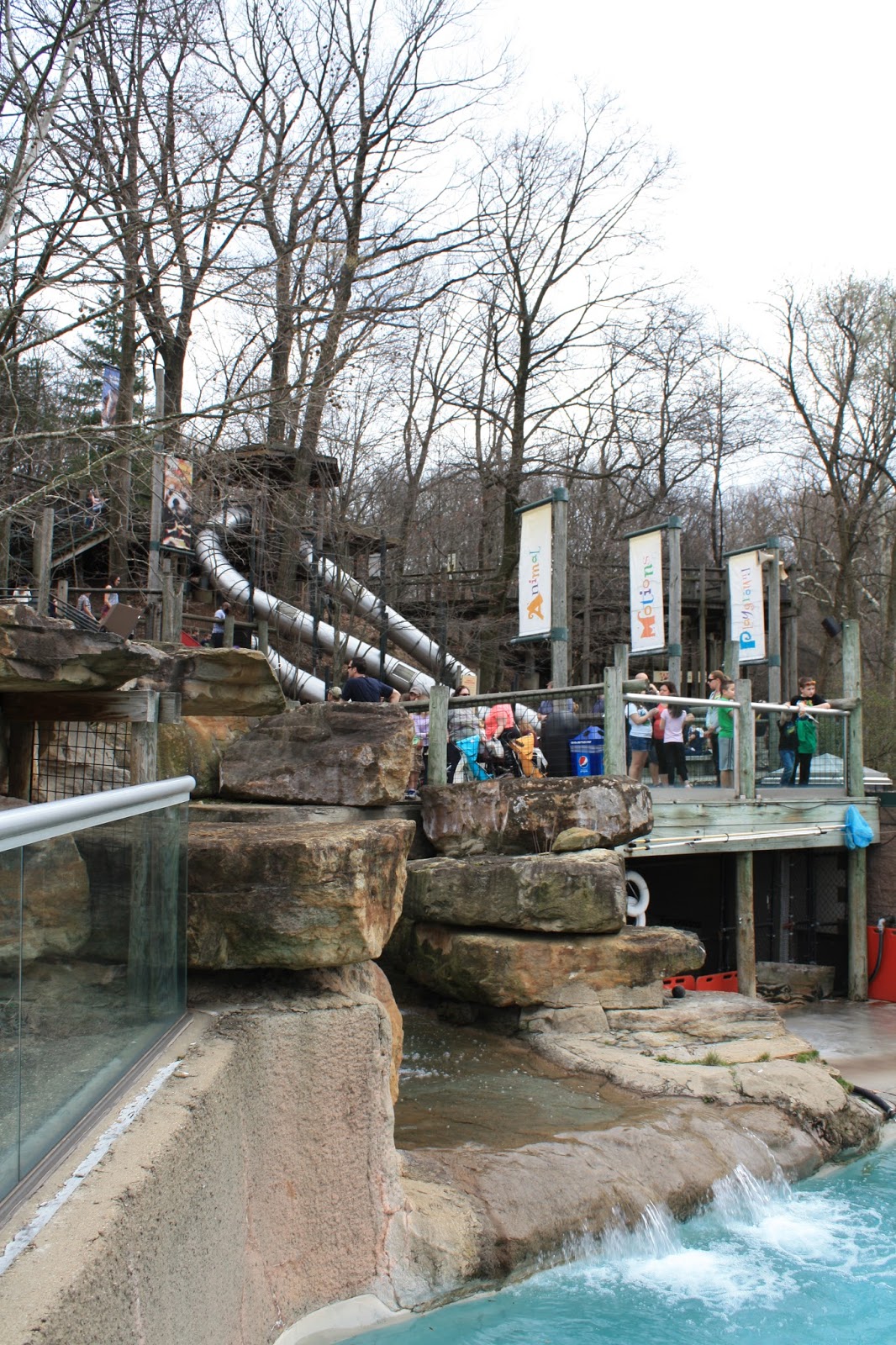 A Little Time and a Keyboard An Afternoon With the Animals of the