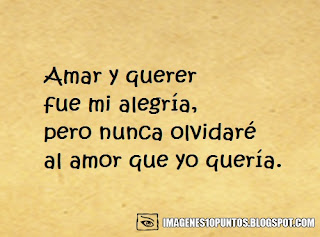frases de querer frases de querer