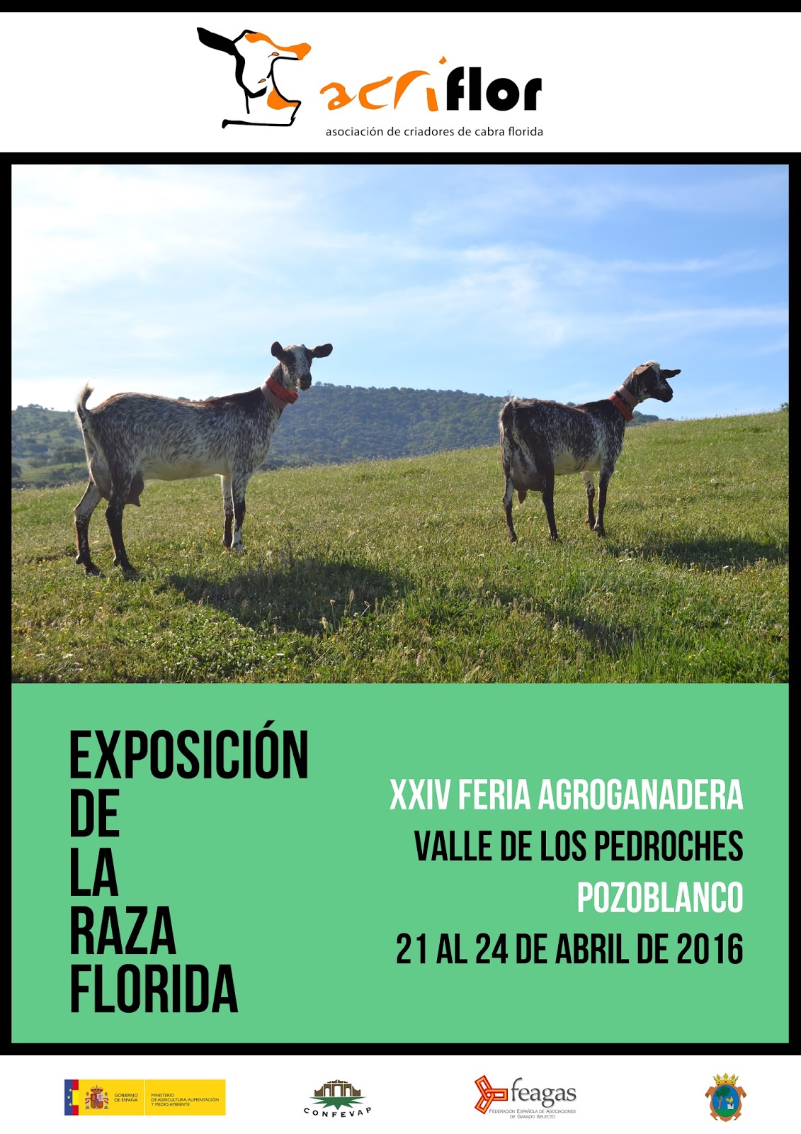 ACRIFLOR Presencia de la raza Florida y de Acriflor en la XXIV Feria