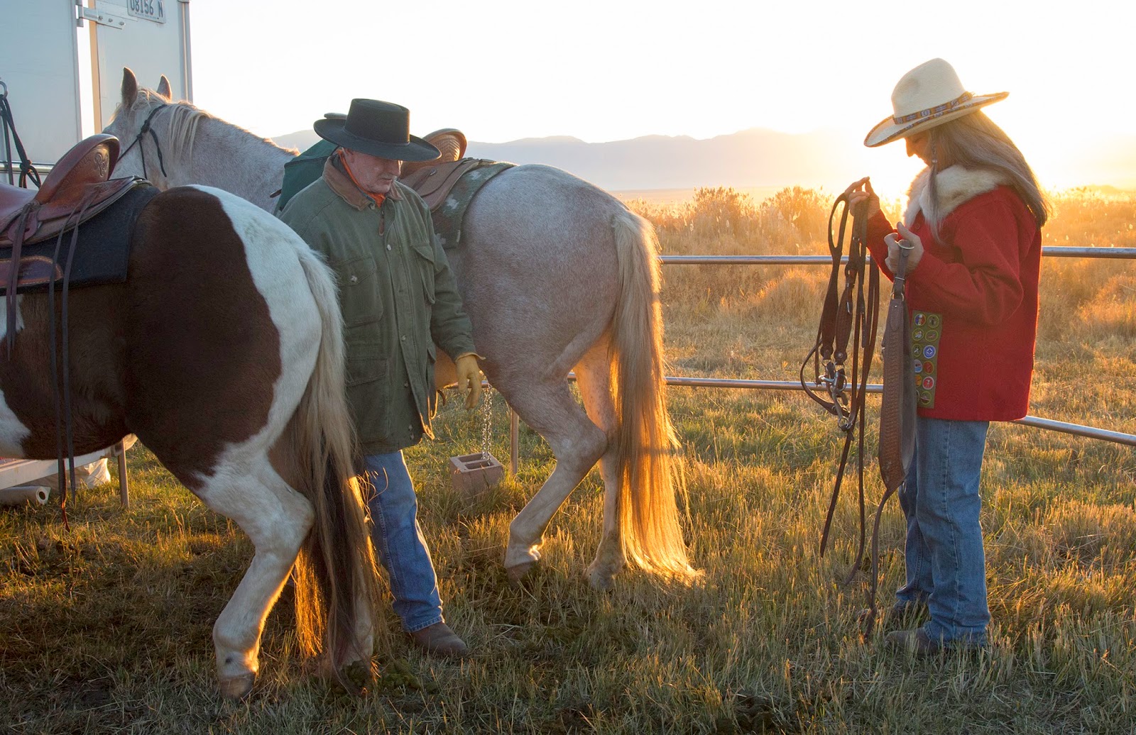 Benjamin Zack Photography Bison Roundup on Antelope Island