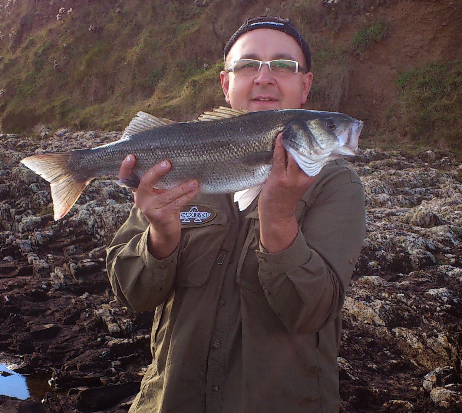 Cork Harbour Angling Hub: Autumn bassing.....