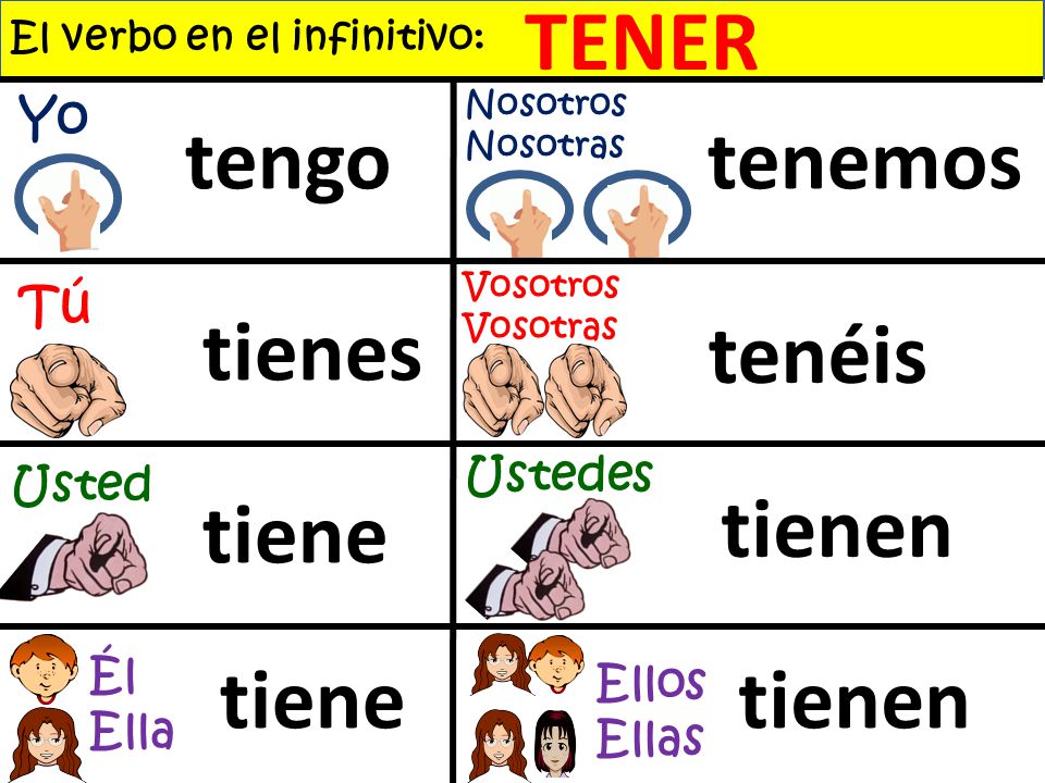 Blog di Spagnolo: Presente de Indicativo del verbo TENER (1A)