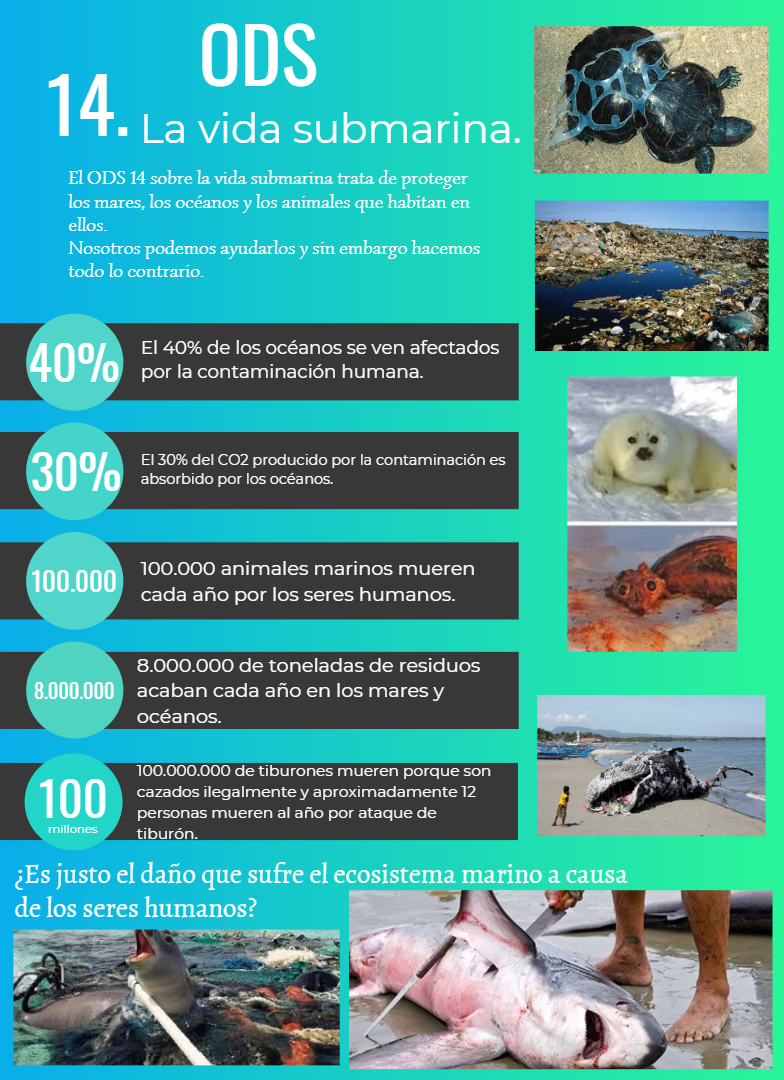Infografía de la vida submarina. Infografía de la vida submarina.