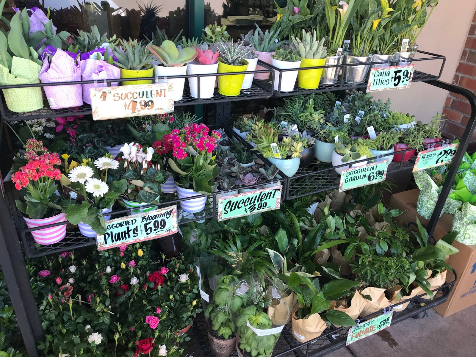 The Larson Lingo For the love of Trader Joe's + A Giveway!