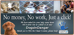 9/8/12 Dogs in Danger Needs Your Help in Contest