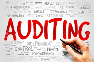 Differences Between Accountant Or Traditional Auditors And Forensic And Investigative Auditors