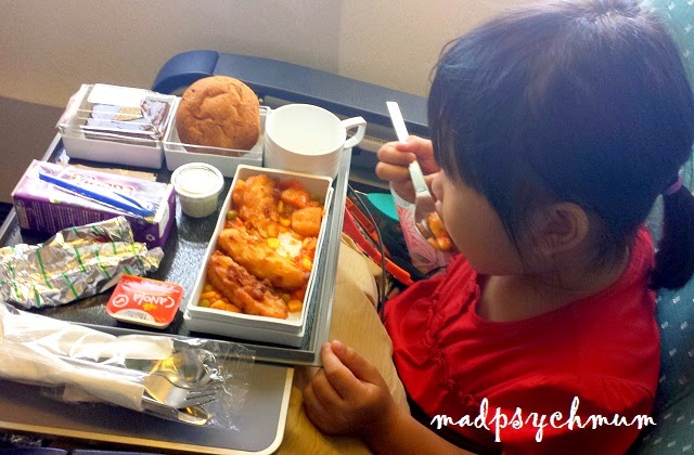Can I Hold My Food When I Board My Flight Can I Hold My Food When I Board My Flight