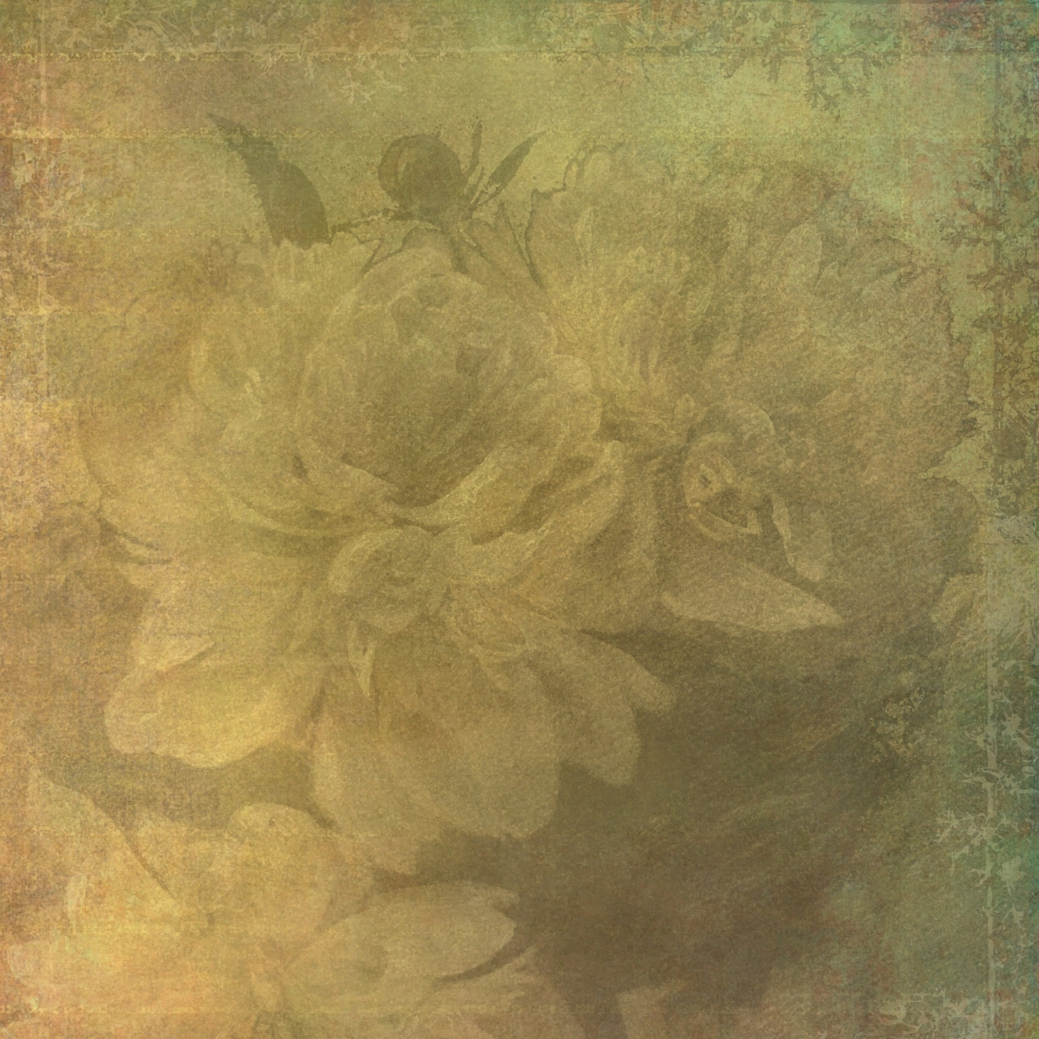 Background White Gallery Photo Background Paper