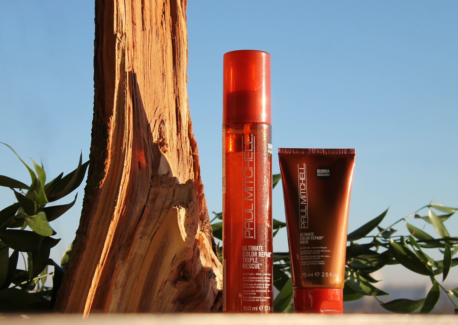 Ultimate color. Пол митчелл 8. Paul mitchell красивый рыжий цвет. Paul mitchell фото продукции. Палитра цветов веер.