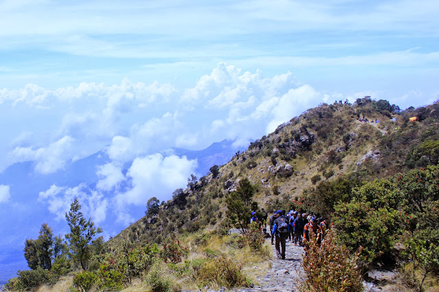 Peringati Malam 1 Suro, Ratusan Pendaki Padati Puncak Gunung Lawu Peringati Malam 1 Suro, Ratusan Pendaki Padati Puncak Gunung Lawu